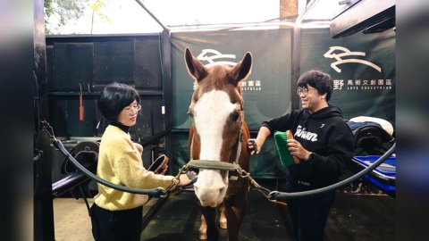 歡喜迎馬年!蘇巧慧化身一日馬場照護員 沈伯洋竟成「Q毛本尊」?