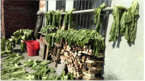 長年菜太苦不敢吃？農糧署親傳「去苦神技」變甘甜入味：小孩都搶著吃