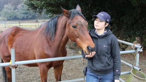 永不放棄！日本傳奇賽馬「春麗」　生涯全敗成爆紅明星