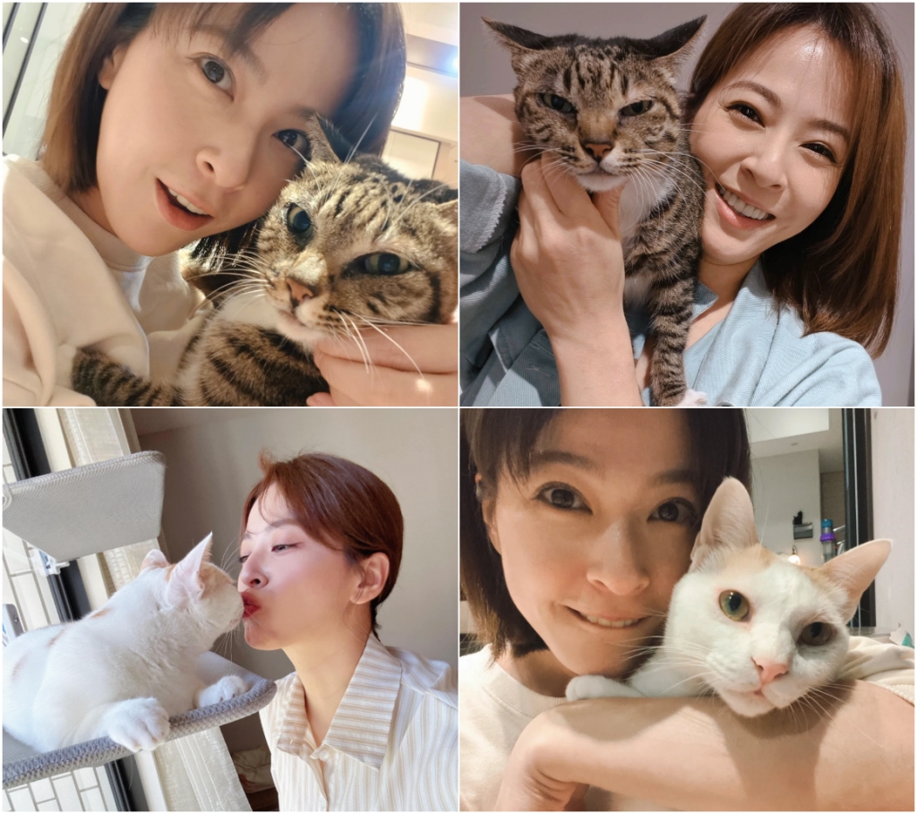 222貓咪日！盤點演藝圈4大貓奴：蘇晏霈、謝京穎、米可白、蔡燦得，超萌主子一次看！