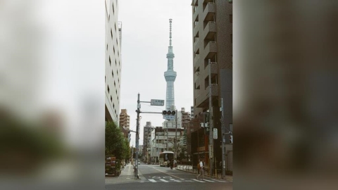 沒有華人過年！台灣人春節出遊　日本依然首選