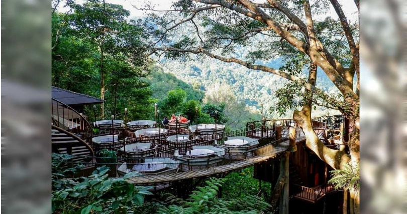 泰國清邁「巨樹咖啡廳」建在一棵古老的大樹旁邊，可一邊喝咖啡，一邊觀賞森林美景。（圖／五福旅遊提供）&nbsp;