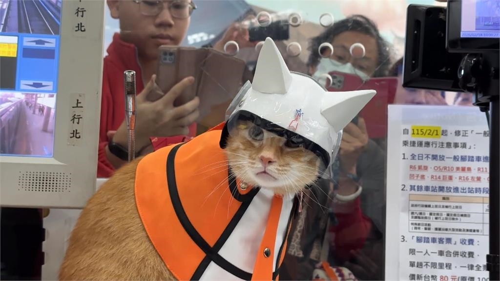 蜜柑站長回娘家! 上演超萌換裝秀 值班台擠滿粉絲