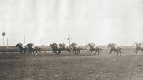 非洋人專屬！台灣「這時期」賽馬曾紅遍全島　興衰起伏一次看