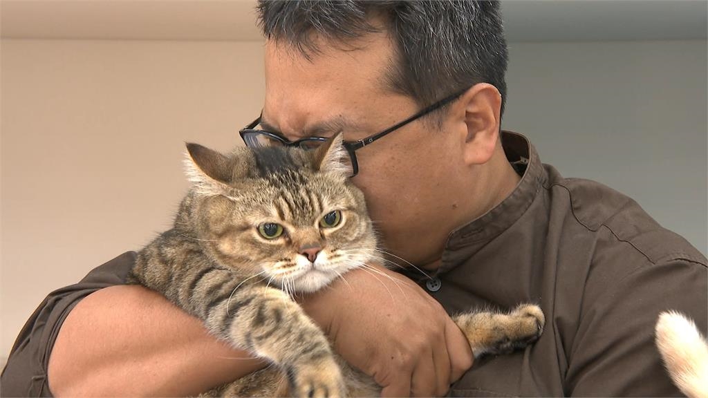 「貓咪年菜」和喵星人一起過年　新北議員林秉宥、李宇翔PK寵物年菜