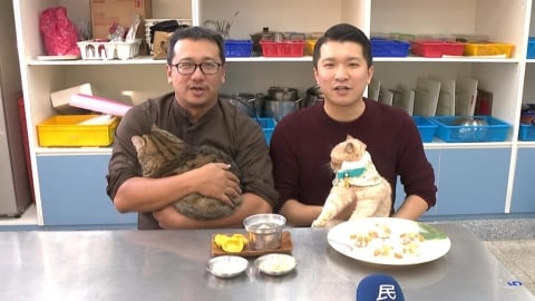 「貓咪年菜」和喵星人一起過年　新北議員林秉宥、李宇翔PK寵物年菜
