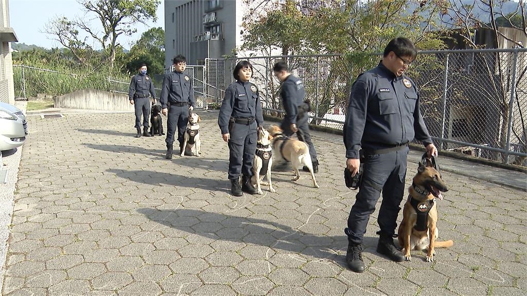 警犬、搜救犬成最萌生力軍! 新警犬「大福」報到萌翻一票網友