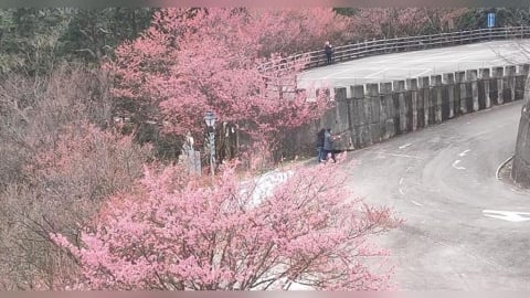 2026馬年注意！4生肖犯太歲要躲春　3生肖有貴人相助