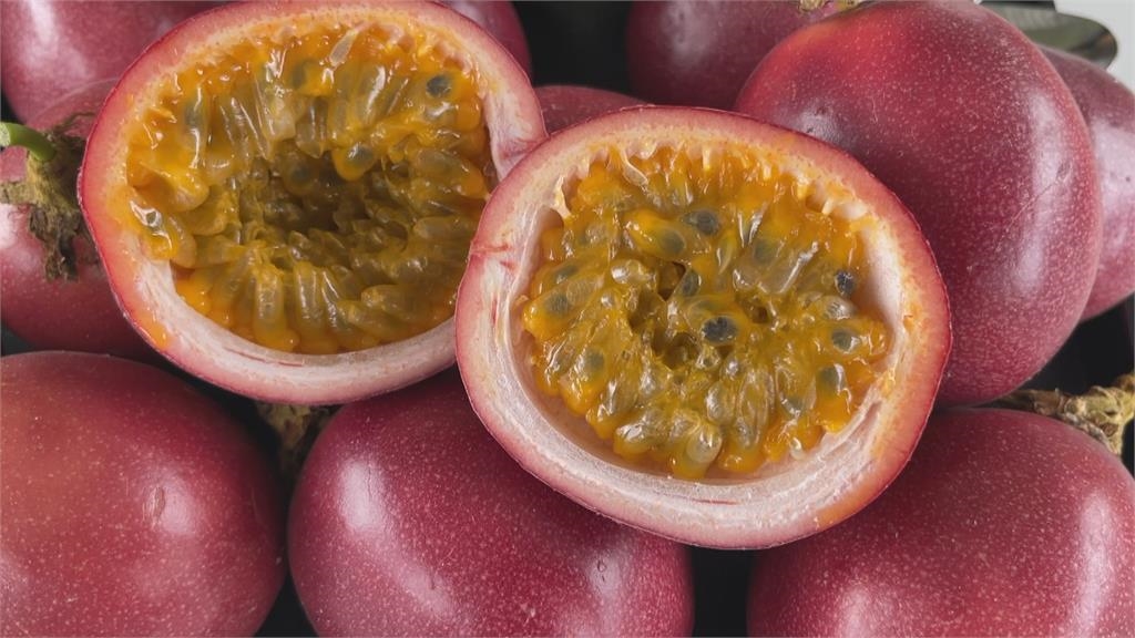 台灣「水果王國」冷知識大解密!番石榴 C 勝奇異果、鳳梨「頭」在下面?