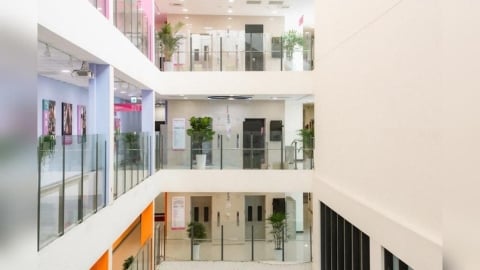 新北市民有福了！「這1運動中心」整修試營運　全館免收費時間出爐