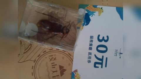 台北動物園滿額贈禮!「斑馬獎」打開是蟑螂標本 網:是我會直接蛋雕