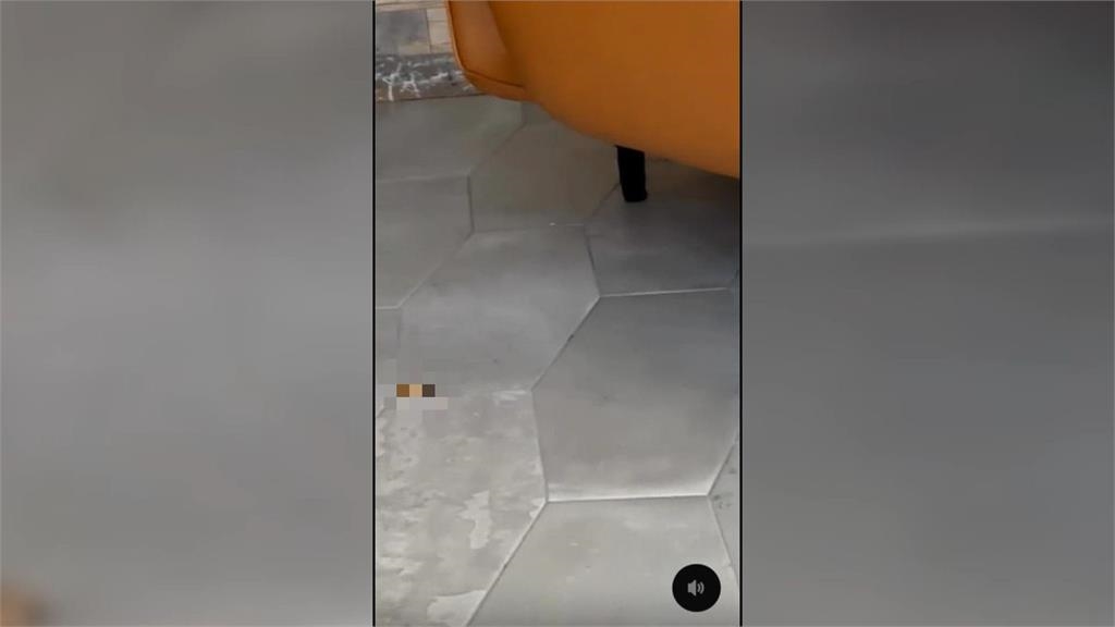 過年旅遊住宿驚魂！　遊客入住台南旅宿衛生堪憂