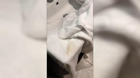 過年旅遊住宿驚魂！　遊客入住台南旅宿衛生堪憂