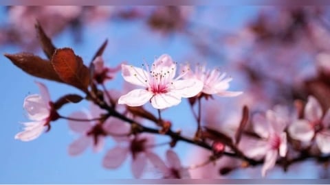 2026第一波水逆來了!12星座本周運勢出爐 獅子職場避免太強勢