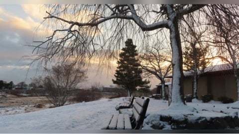 赴日追雪意外跌倒！林氏璧示警「1情況最危險」：小心骨折腦震盪