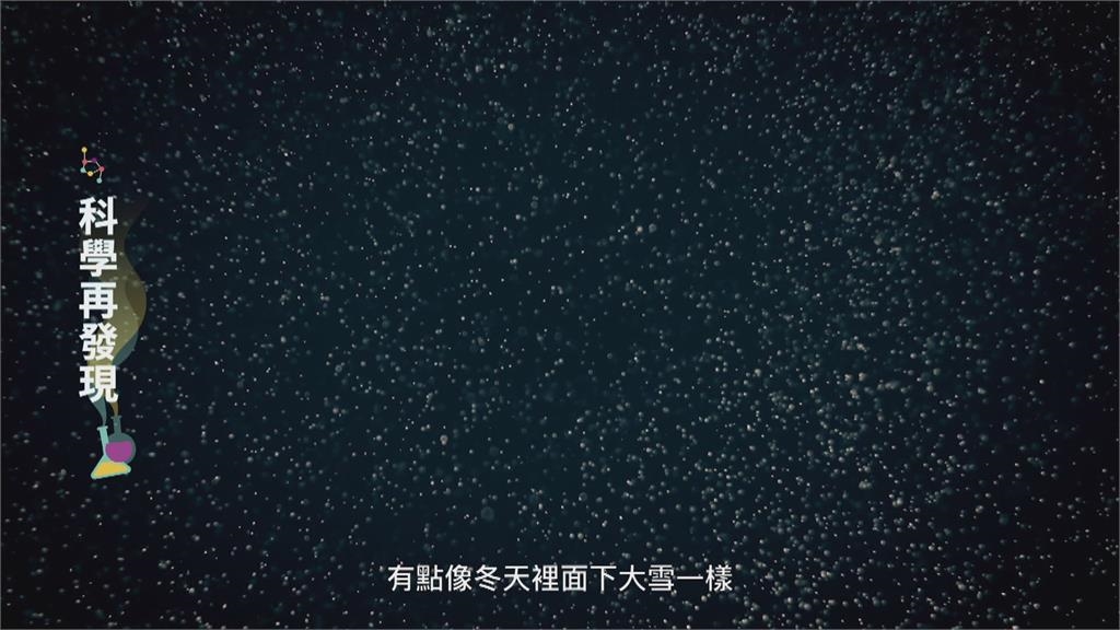 科技探索視角大不同 聲納發掘新海洋