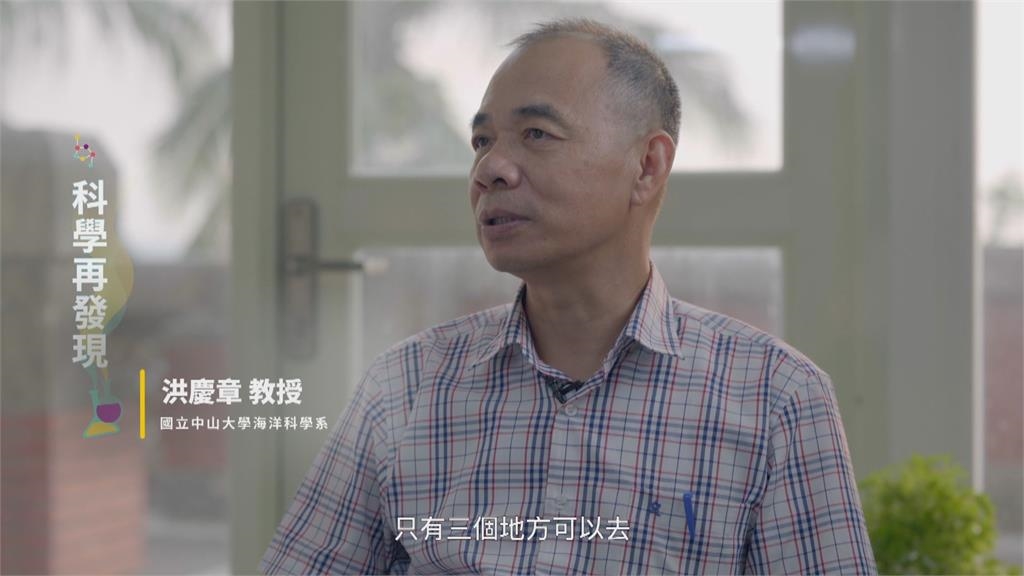 科技探索視角大不同 聲納發掘新海洋