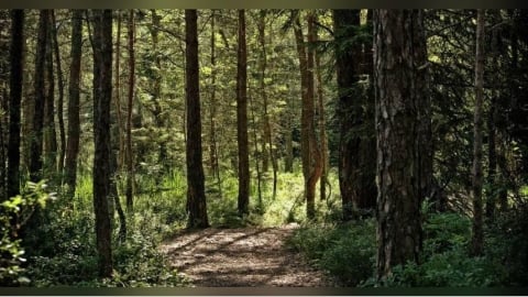 嫌8歲兒不聽話　日本28歲狠母聯手男友「丟包深山」：為了管教