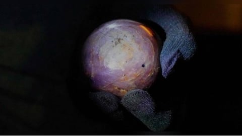 3563克拉「紫星藍寶石」現世！6道星光效應美翻　價值上看126億