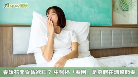 春暖花開昏昏欲睡? 中醫揭「春困」是身體在調整節奏