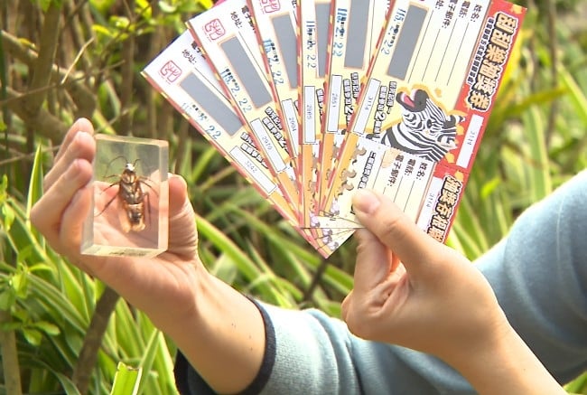 北市動物園刮刮樂送昆蟲標本 「牠」也變標本!全員驚嚇中