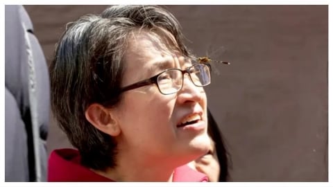 好兆頭！嘉義走春蜻蜓停在眼鏡框上　蕭美琴：謝謝、穿越人群送來祝福