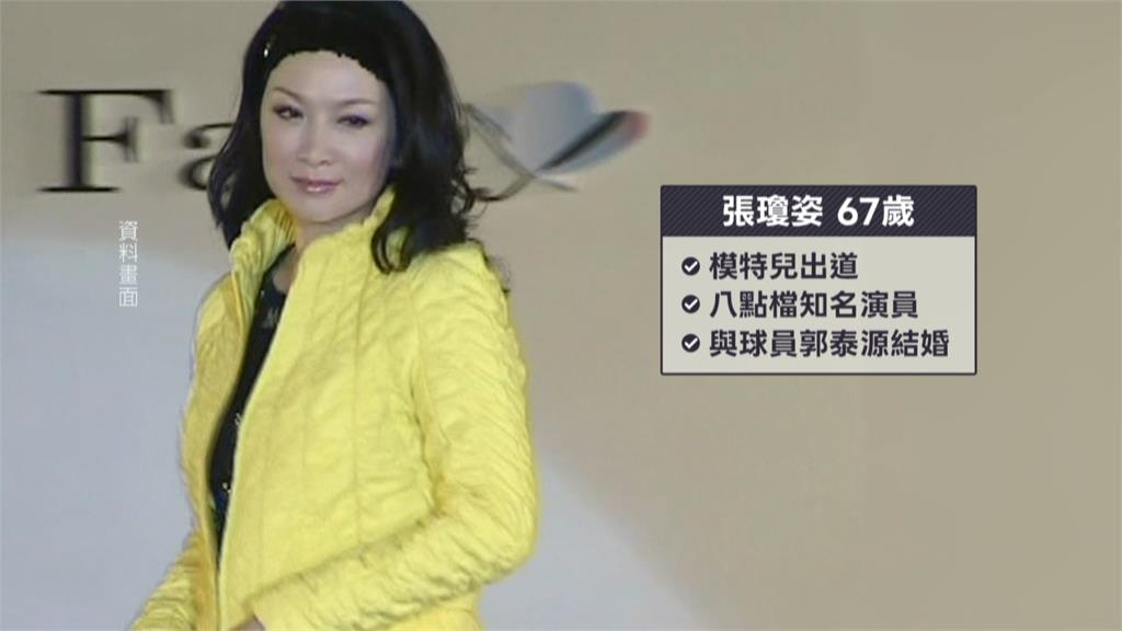 高金涉貪案燒到張瓊姿　昔日雙姝連續劇「愛」紅極一時