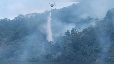 南投埔里森林大火因強風復燃！　燒毀約40公頃林地