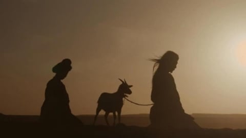 《太平年》還原「兩腳羊」史實！網嚇瘋：原來人肉還有分等級...