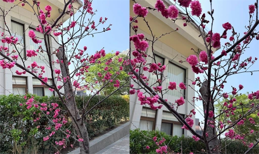 江宏傑離婚4年近況曝光！站路邊太率性「37歲氣場全變」網驚呼：滿搭的