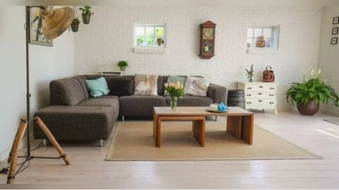 2026年居家風水開運術大揭密　一圖馬上找對正確方位