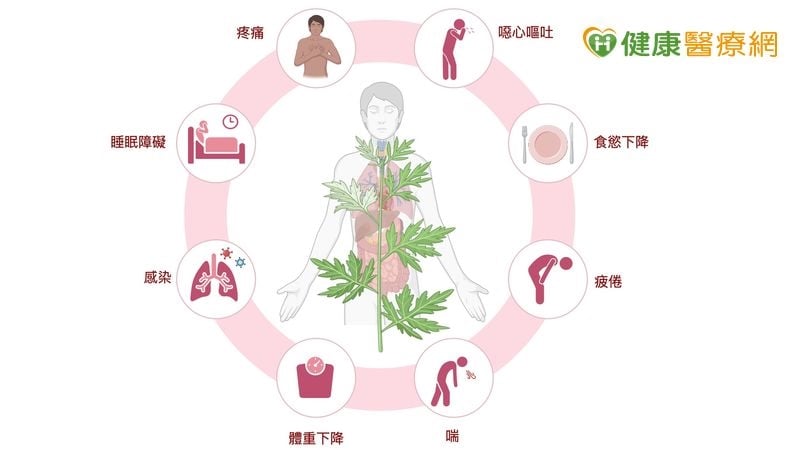 中醫介入「照顧整個人」!抗癌同時維持生活品質