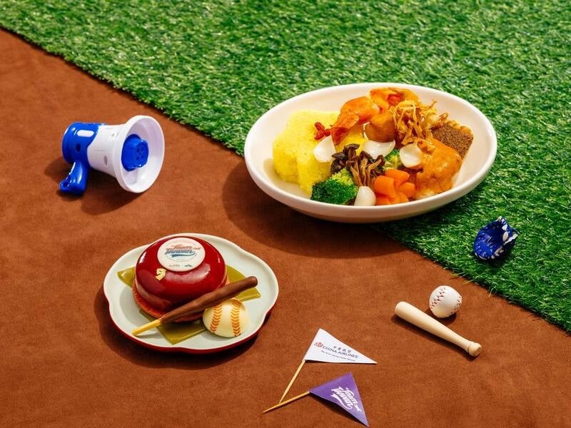 獨家／朝野立委瘋「赴東京應援台灣隊」　綠委包機航班曝光了