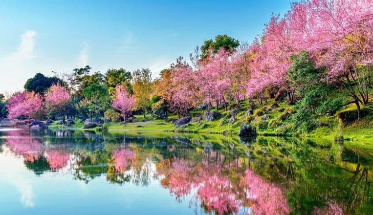 2026「驚蟄」撞上天赦日！命理師揭「打小人8步驟」示警4生肖：慎防血光之災