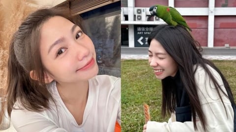 被鸚鵡「臨幸」真的會發財?曾智希實測「刮刮樂結果出爐」網笑翻:好兆頭呢