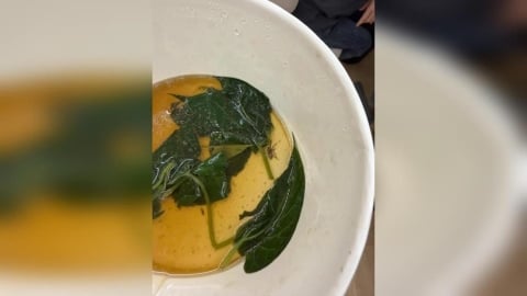 難接受! 台中米其林麵店"燙青菜有蜘蛛屍" 顧客傻眼