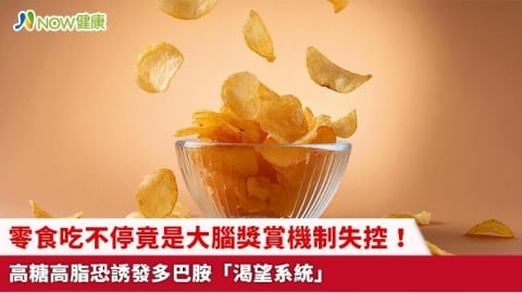 零食吃不停竟是大腦獎賞機制失控！ 高糖高脂恐誘發多巴胺「渴望系統」