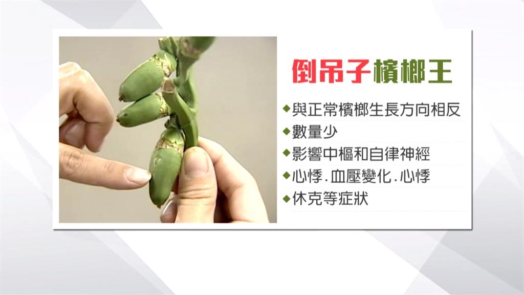 嘉義男吃檳榔「突當場倒地」無呼吸！竟是吃到「變異檳榔王」醫曝恐怖後果