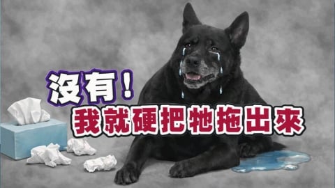 陳志強《醫學大聯盟》「黑秀」性格大變?醫:「閃尿」背後的創傷恐懼