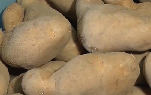 馬鈴薯是澱粉陷阱不敢吃？營養師揭烹調保存「4關鍵」穩血糖還不發胖！