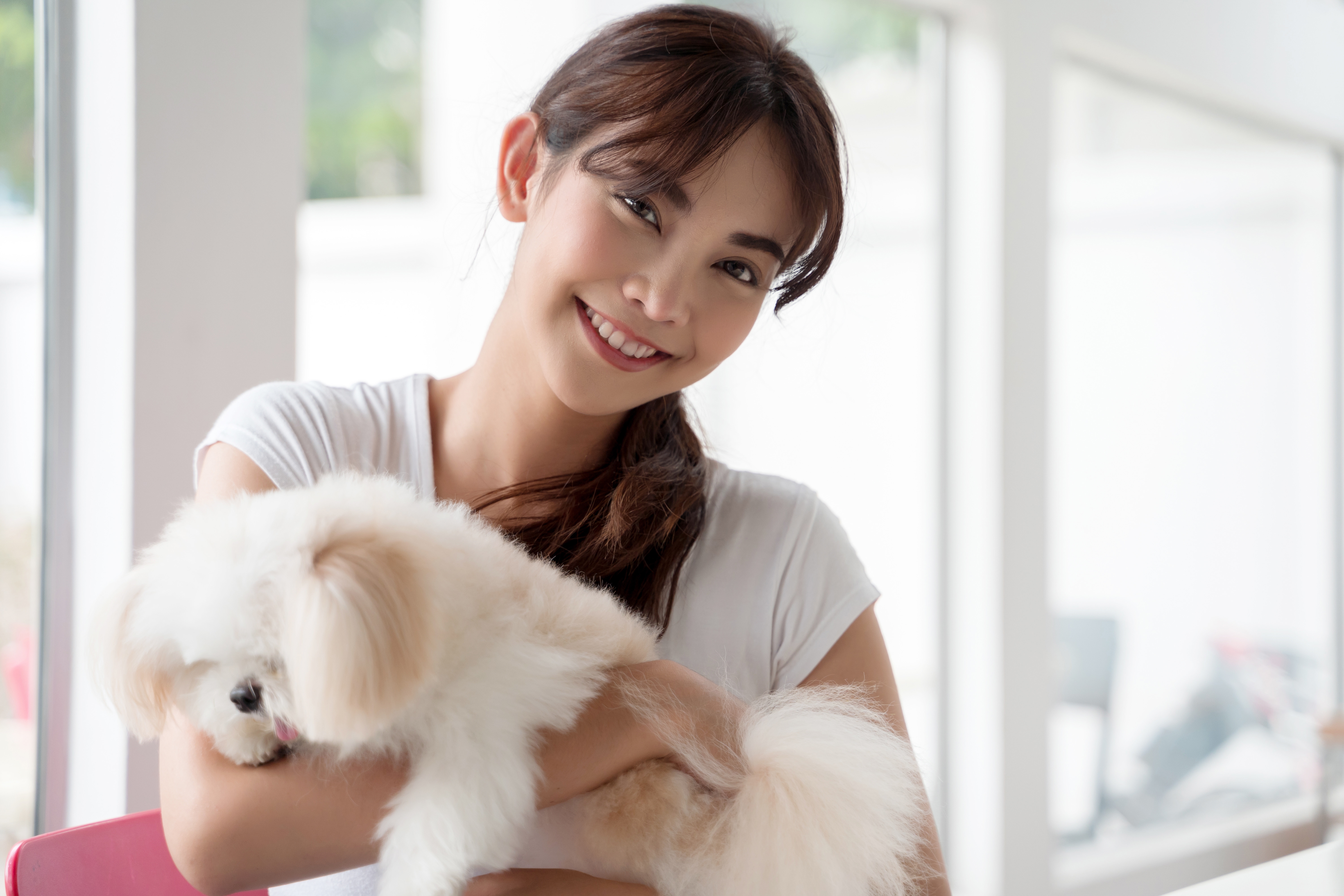 跟狗狗貓貓玩很開心，但是衣物沾染太多寵物的毛髮，清潔就會很麻煩。圖/123RF圖庫