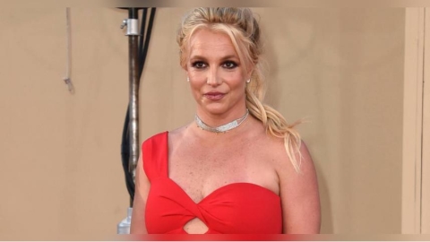 小甜甜布蘭妮涉酒駕　「被上銬帶回」凌晨獲釋