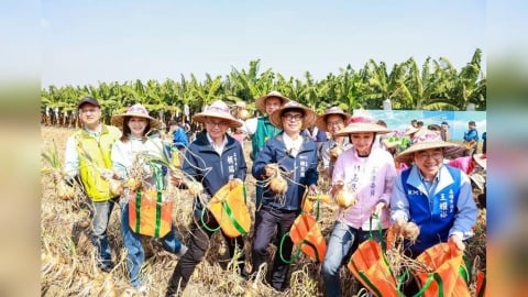 林園洋蔥節熱鬧登場　陳其邁下田「ㄎㄠ蔥頭」邀民眾挺農民