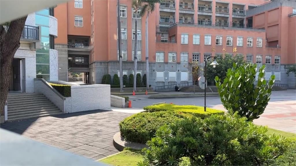 風箏卡樹枝！　女高中生一拉「樹連根被拉倒」