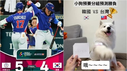 經典賽／台灣隊2勝2敗「4局預測全命中」！網紅薩摩耶吸百萬人朝聖：台灣神犬