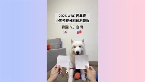 【WBC】薩摩耶「神犬」預測中華隊勝負4戰全中 球迷驚呼:比球評還準