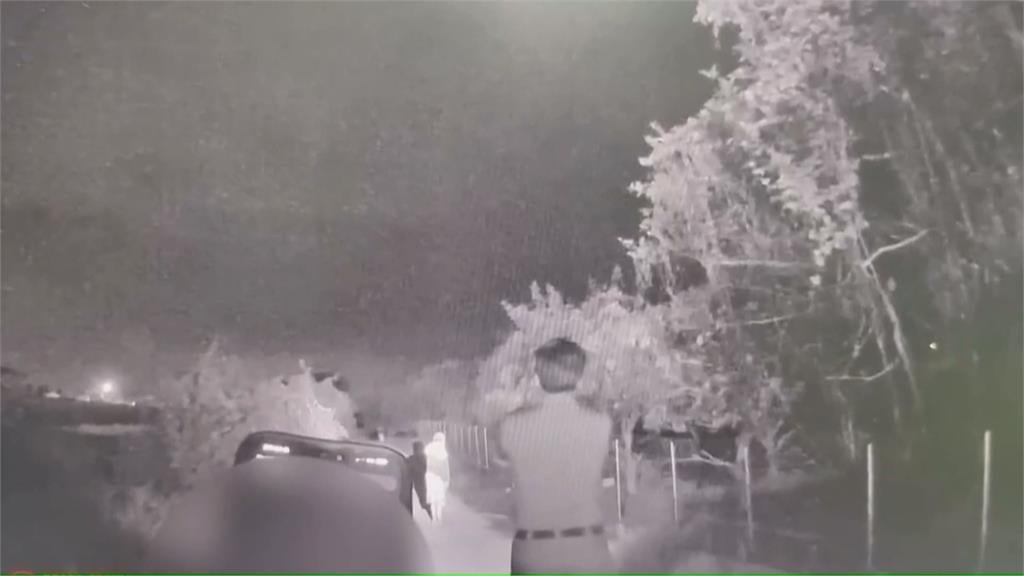 屏東枋寮超商外驚見「羊群」　飼主獲報到場：圍欄鬆脫