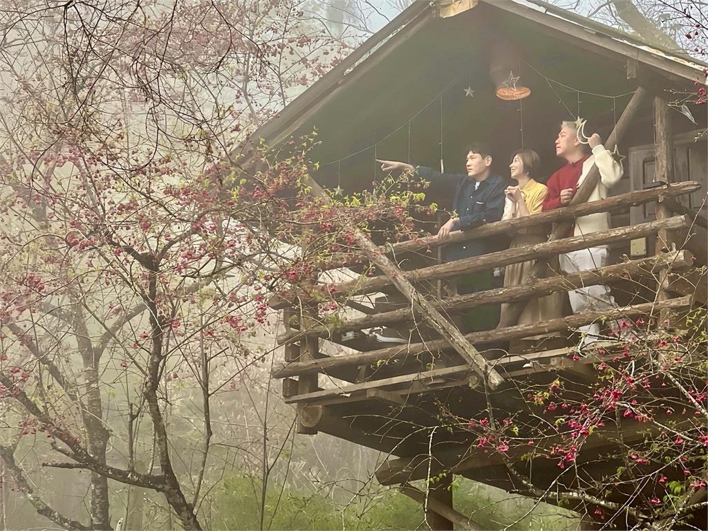 紫色瀑布美瘋了！王瞳化身「迷霧仙女」現身嘉義瑞里　開箱樹屋民宿嚇傻：老闆少算一個