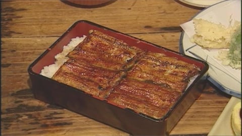 昔因老闆退休關店!肥前屋回歸開幕「大份鰻魚飯漲100元」老饕開吃魚刺評價曝光