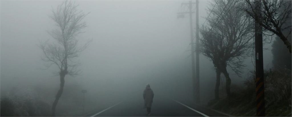 快新聞／台捷友好再升溫！3部作品登One World影展　文化交流再深化